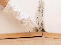 Mold Documentation for Insurance Claims in Dortches, NC